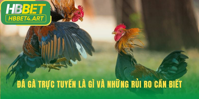 Đá gà trực tuyến tiện lợi và giảm thiểu rủi ro pháp lý